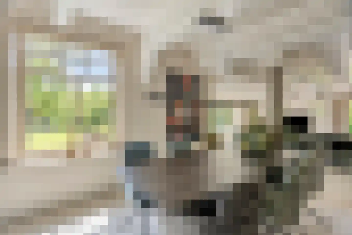 Middel 95 Westzaan thumbnail 18