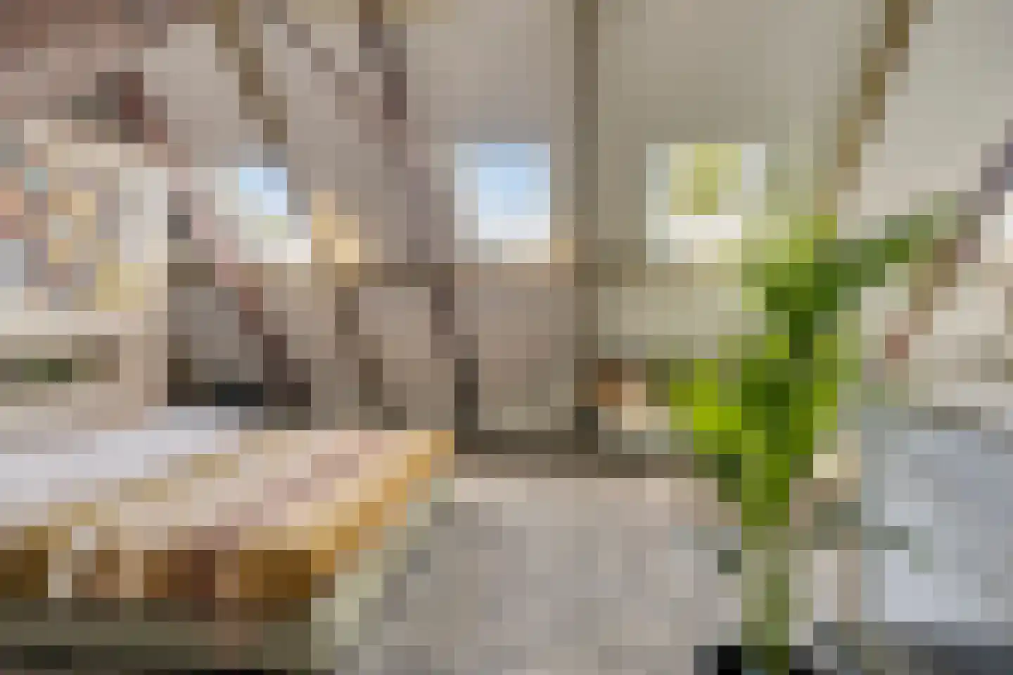 Middel 95 Westzaan thumbnail 36