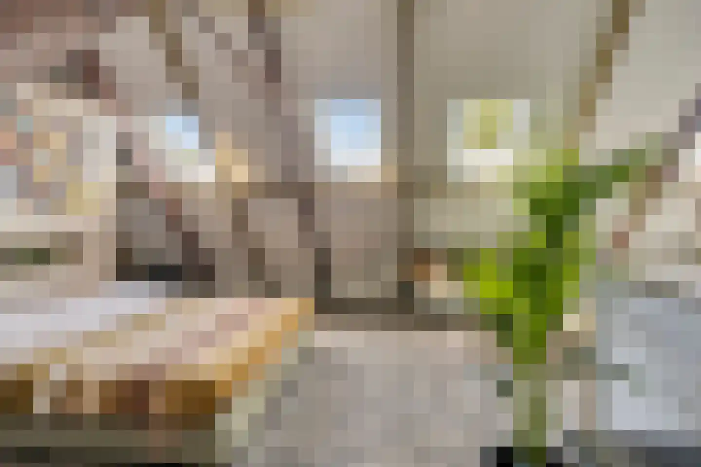 Middel 95 Westzaan thumbnail 36