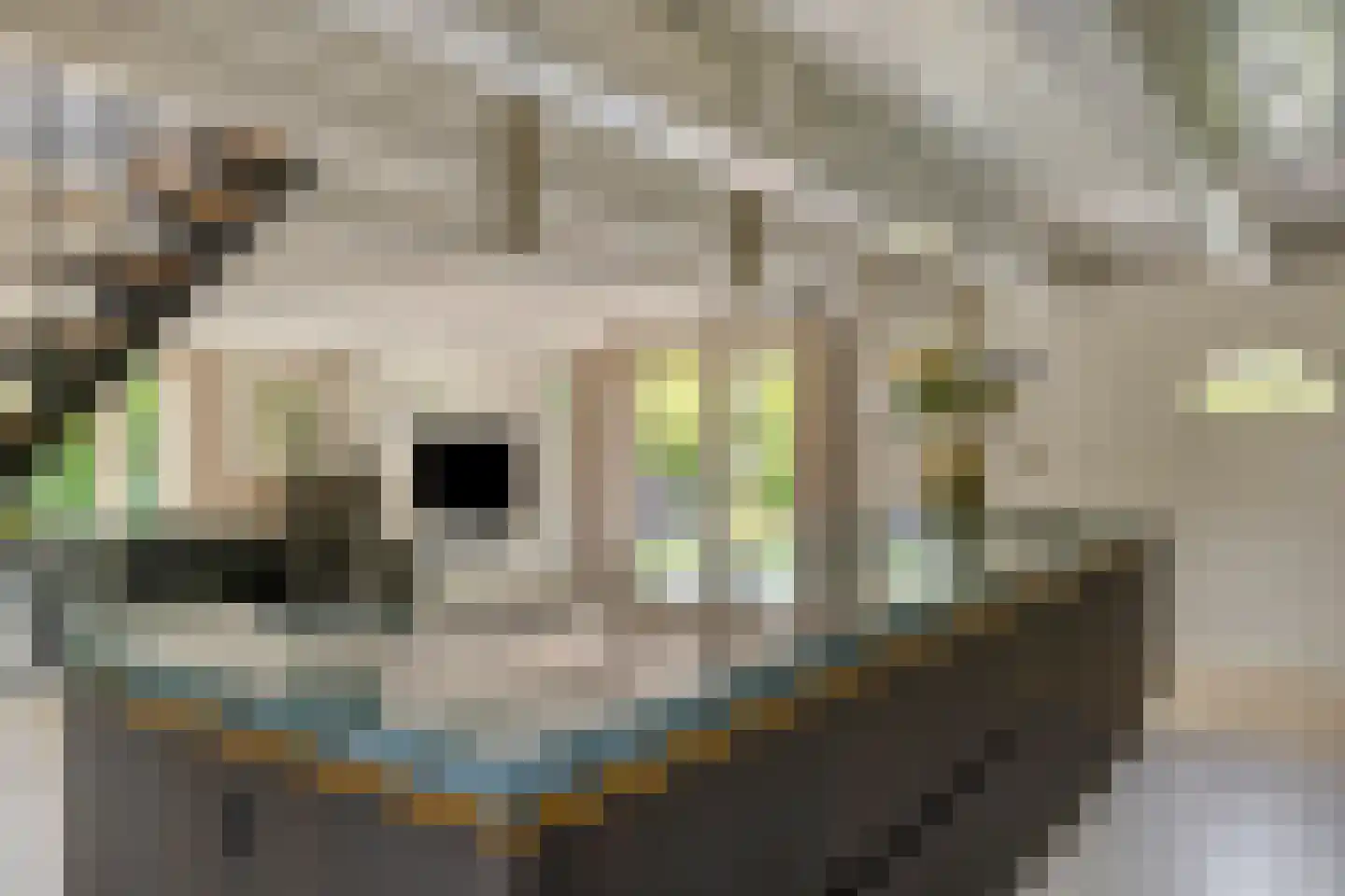 Middel 95 Westzaan thumbnail 4