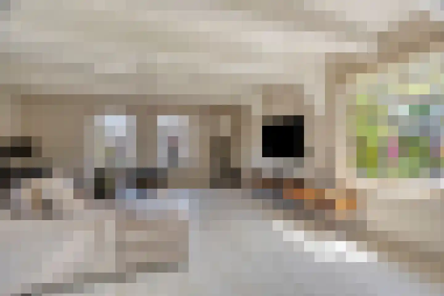 Middel 95 Westzaan thumbnail 5