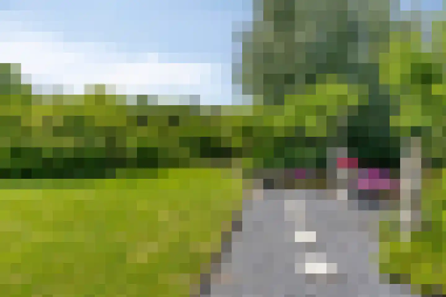 Middel 95 Westzaan thumbnail 57