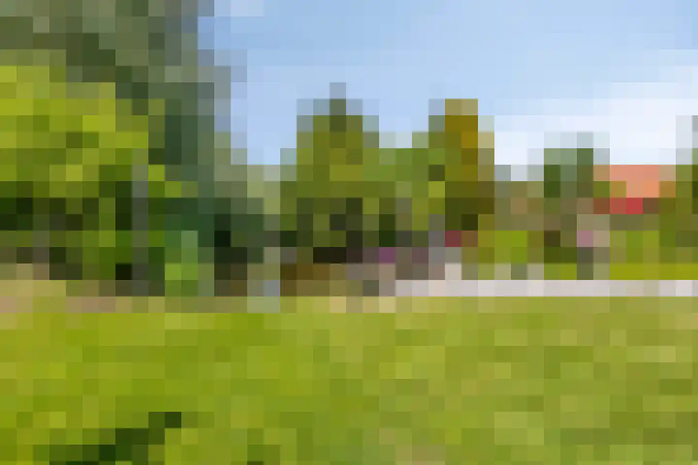 Middel 95 Westzaan thumbnail 58