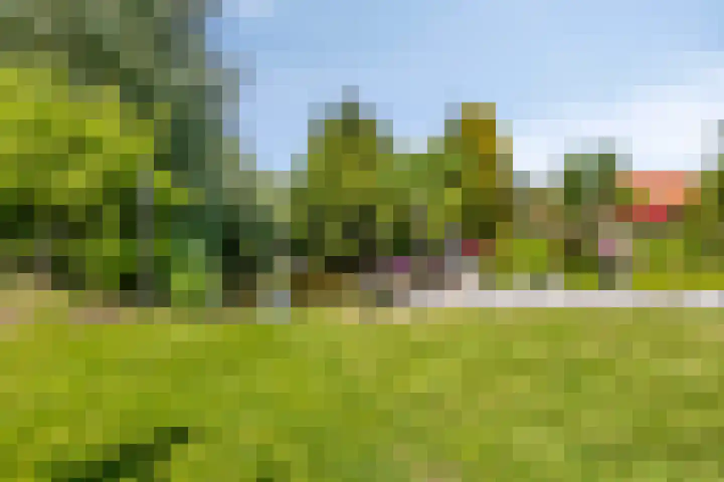 Middel 95 Westzaan thumbnail 58