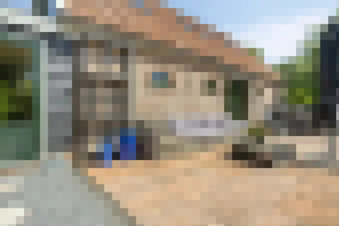 Middel 95 Westzaan thumbnail 66