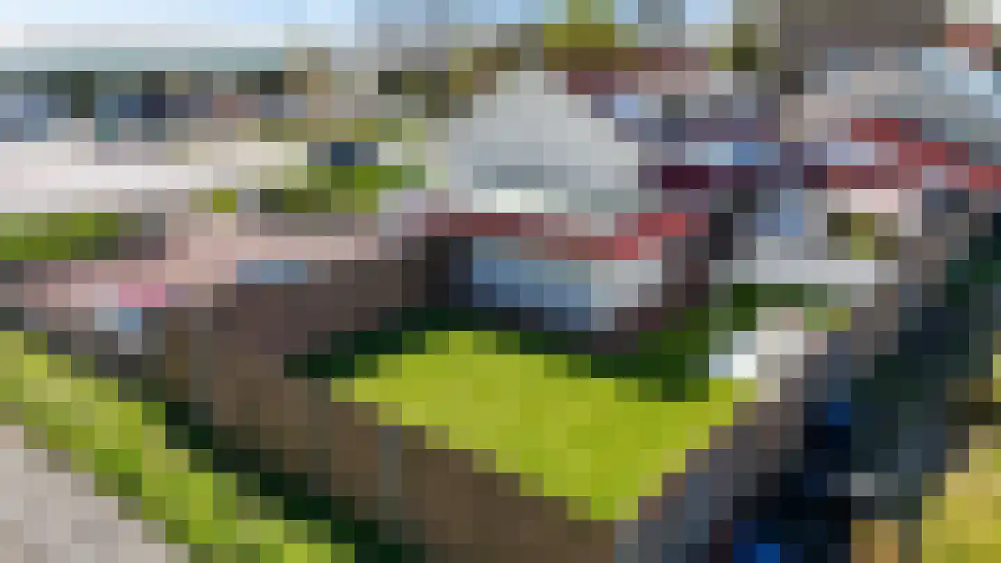 Middel Broekweg 83 Honselersdijk thumbnail 53