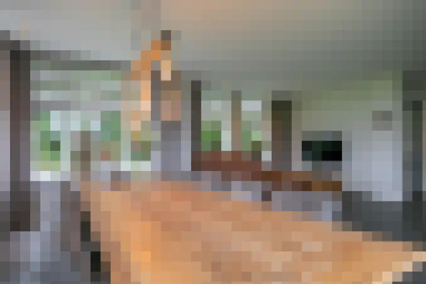 Middelaar 3 Terschuur thumbnail 10