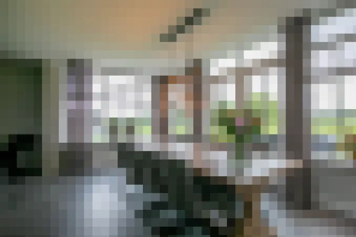 Middelaar 3 Terschuur thumbnail 11