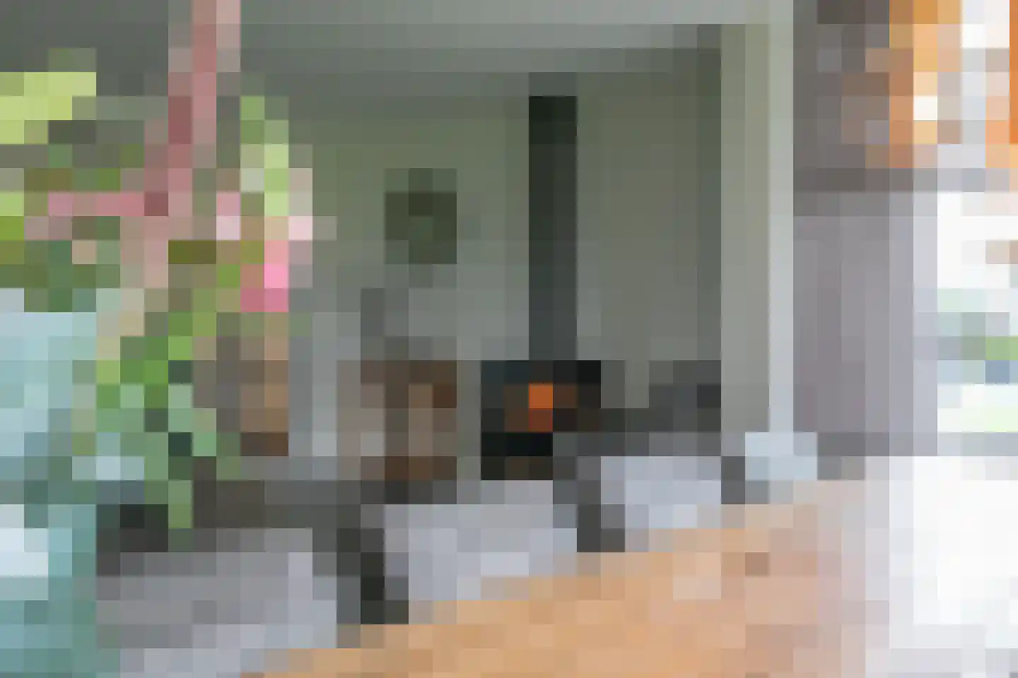 Middelaar 3 Terschuur thumbnail 13