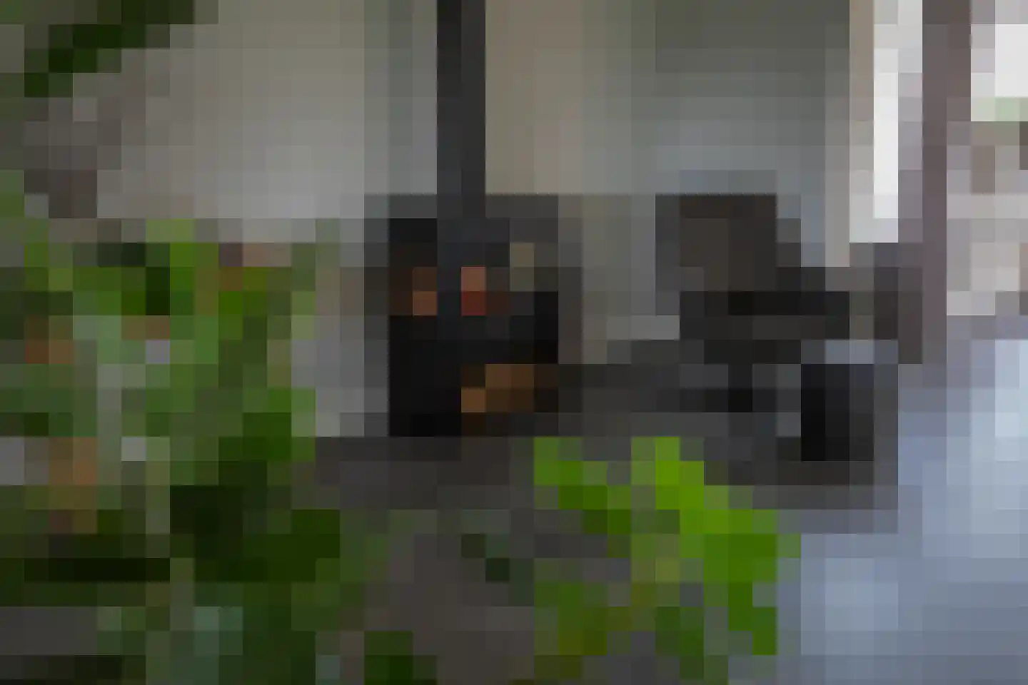 Middelaar 3 Terschuur thumbnail 19