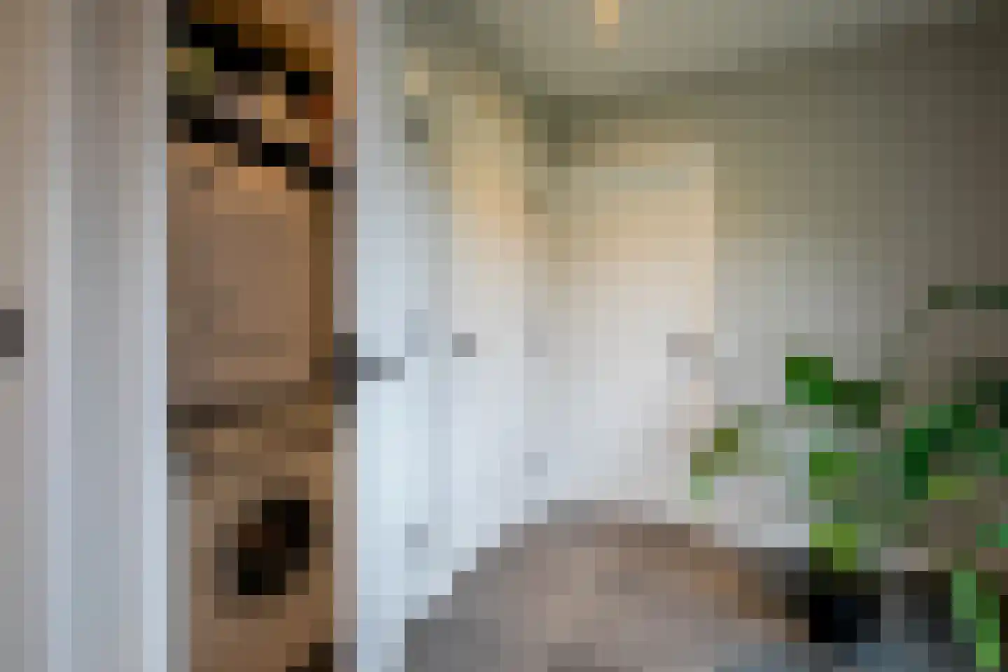 Middelaar 3 Terschuur thumbnail 20