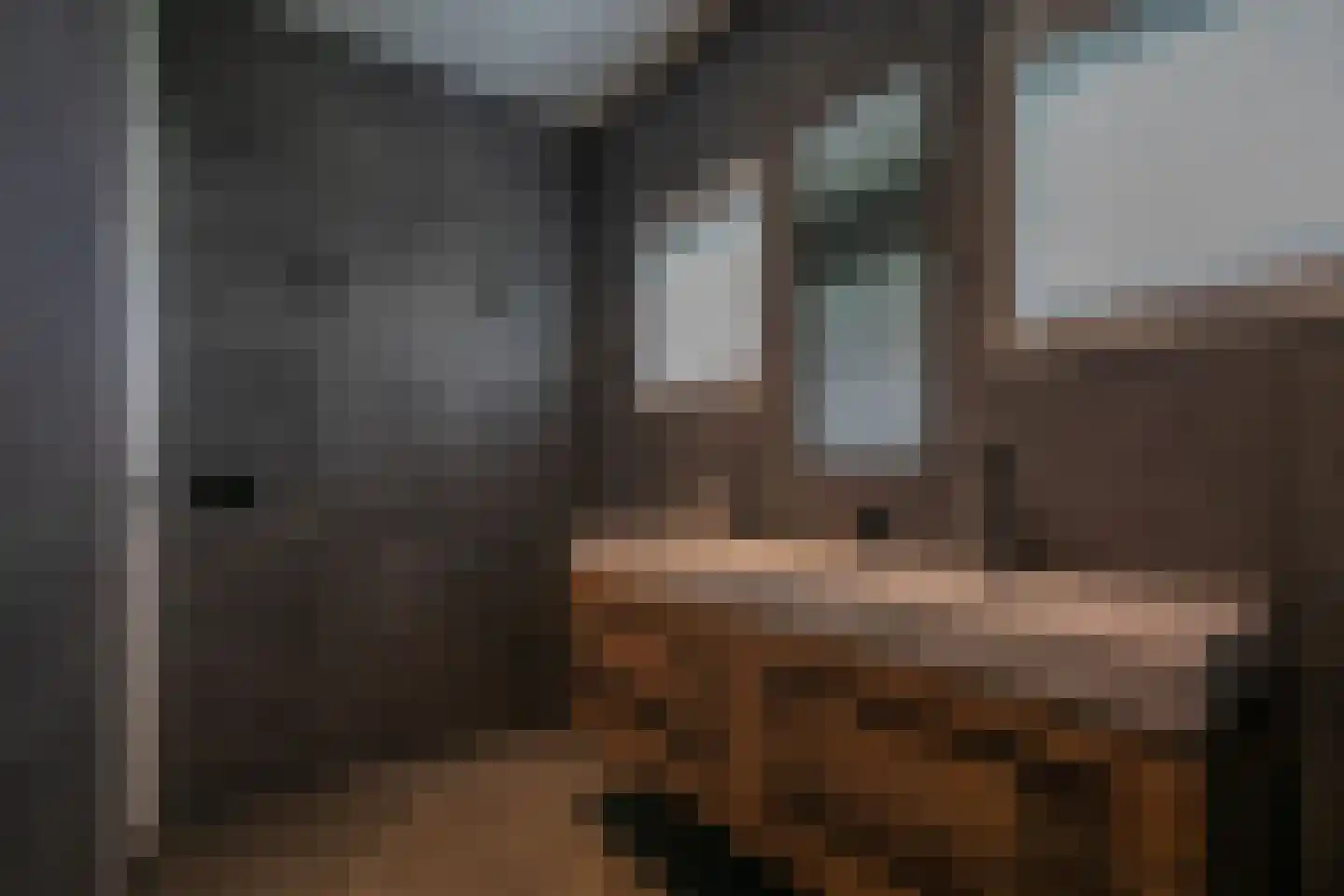 Middelaar 3 Terschuur thumbnail 26