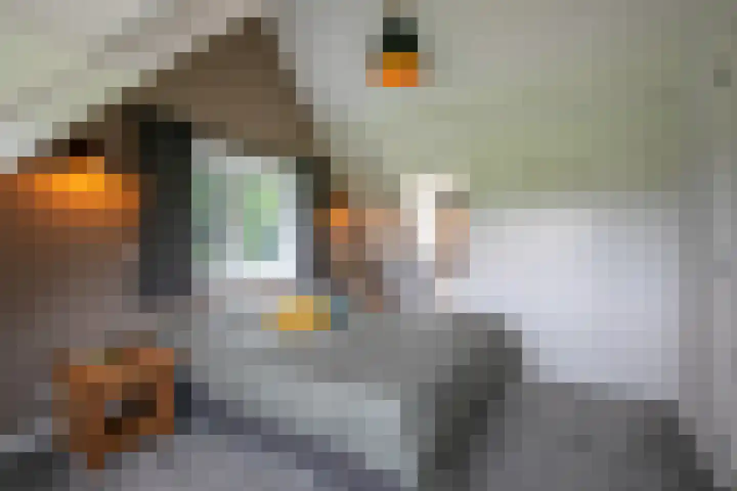 Middelaar 3 Terschuur thumbnail 28
