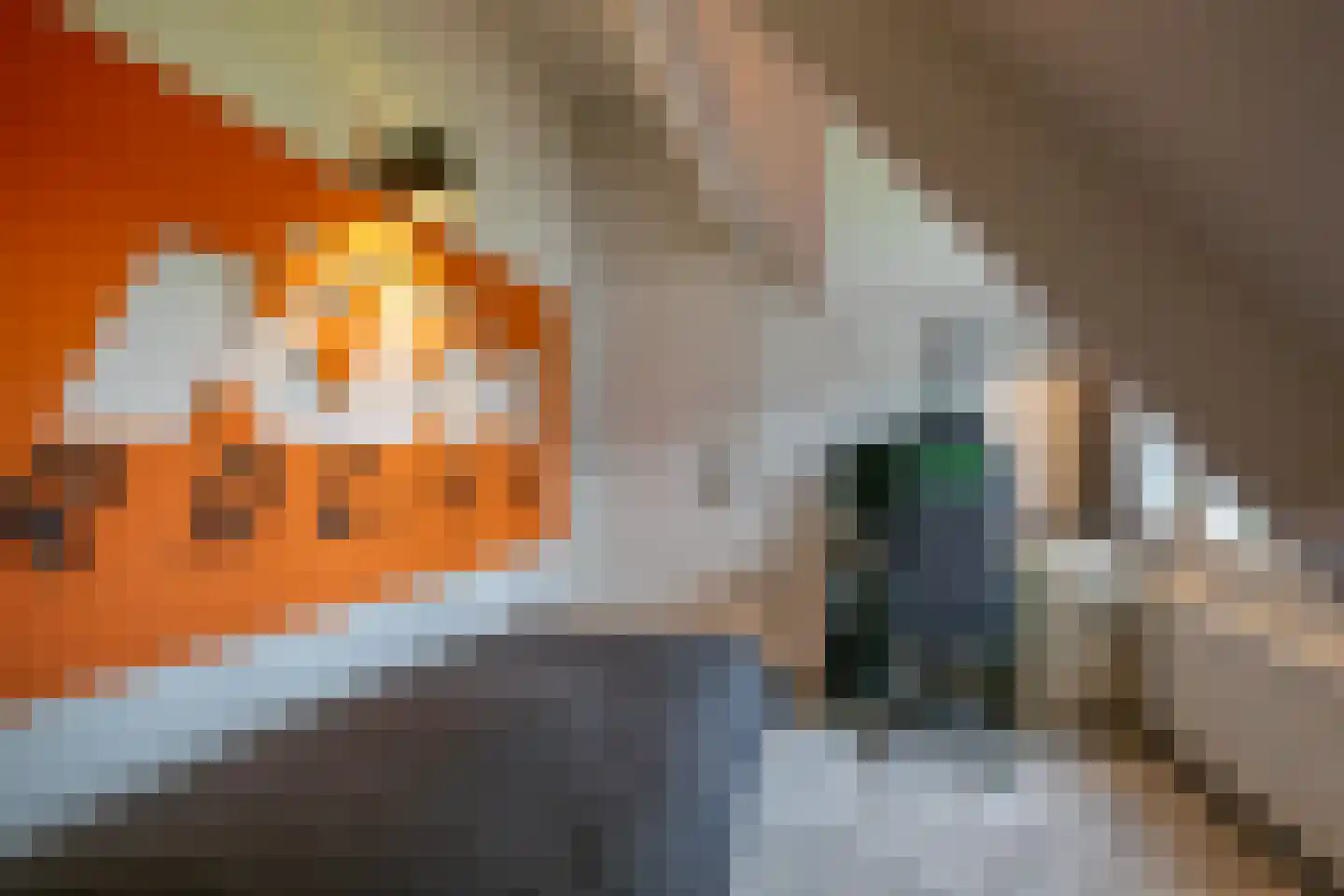 Middelaar 3 Terschuur thumbnail 38