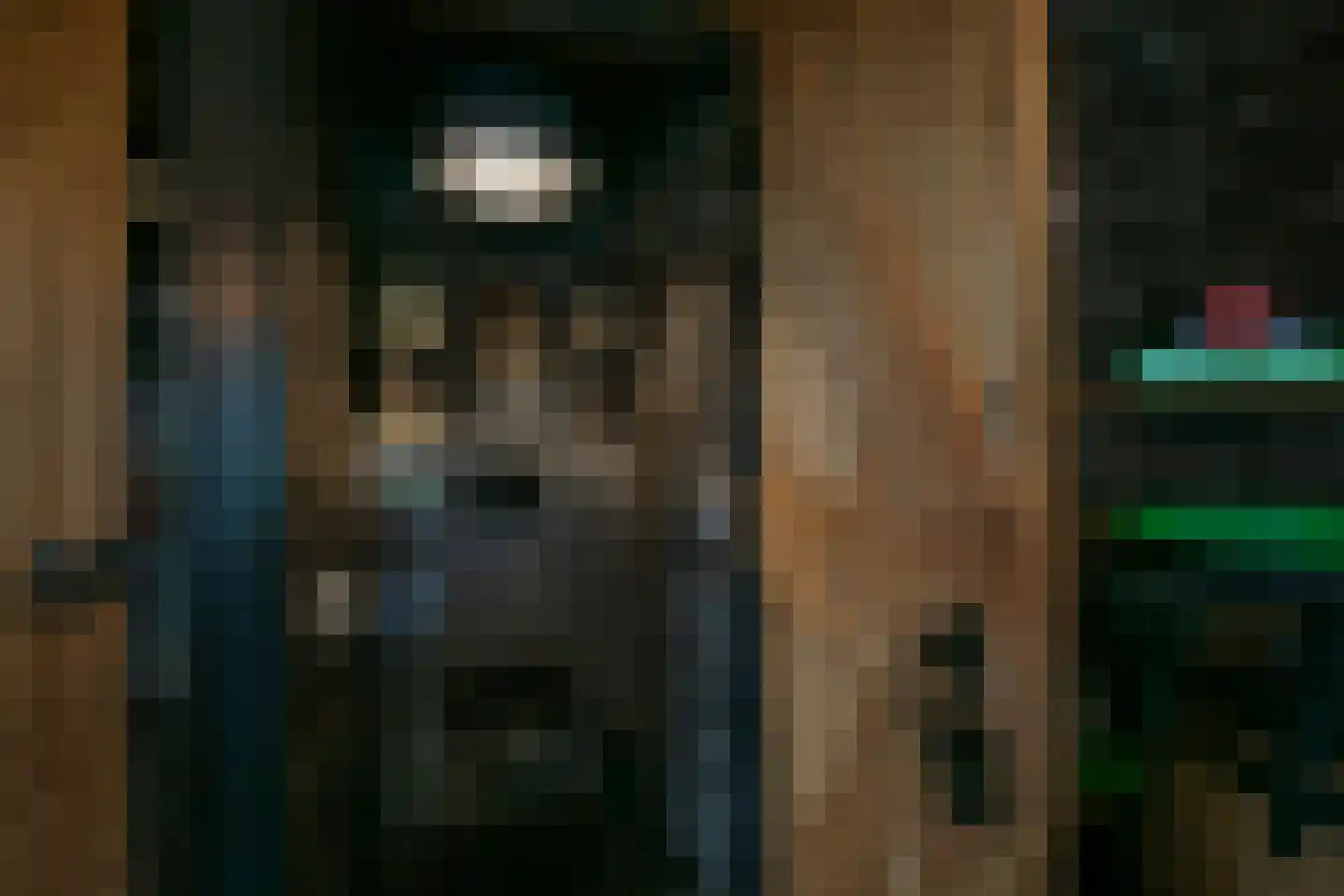 Middelaar 3 Terschuur thumbnail 53