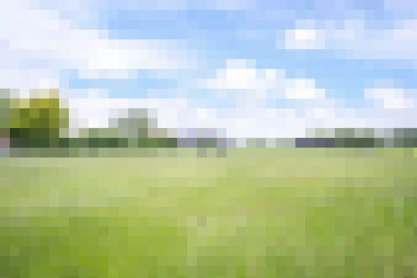 Middelaar 3 Terschuur thumbnail 61