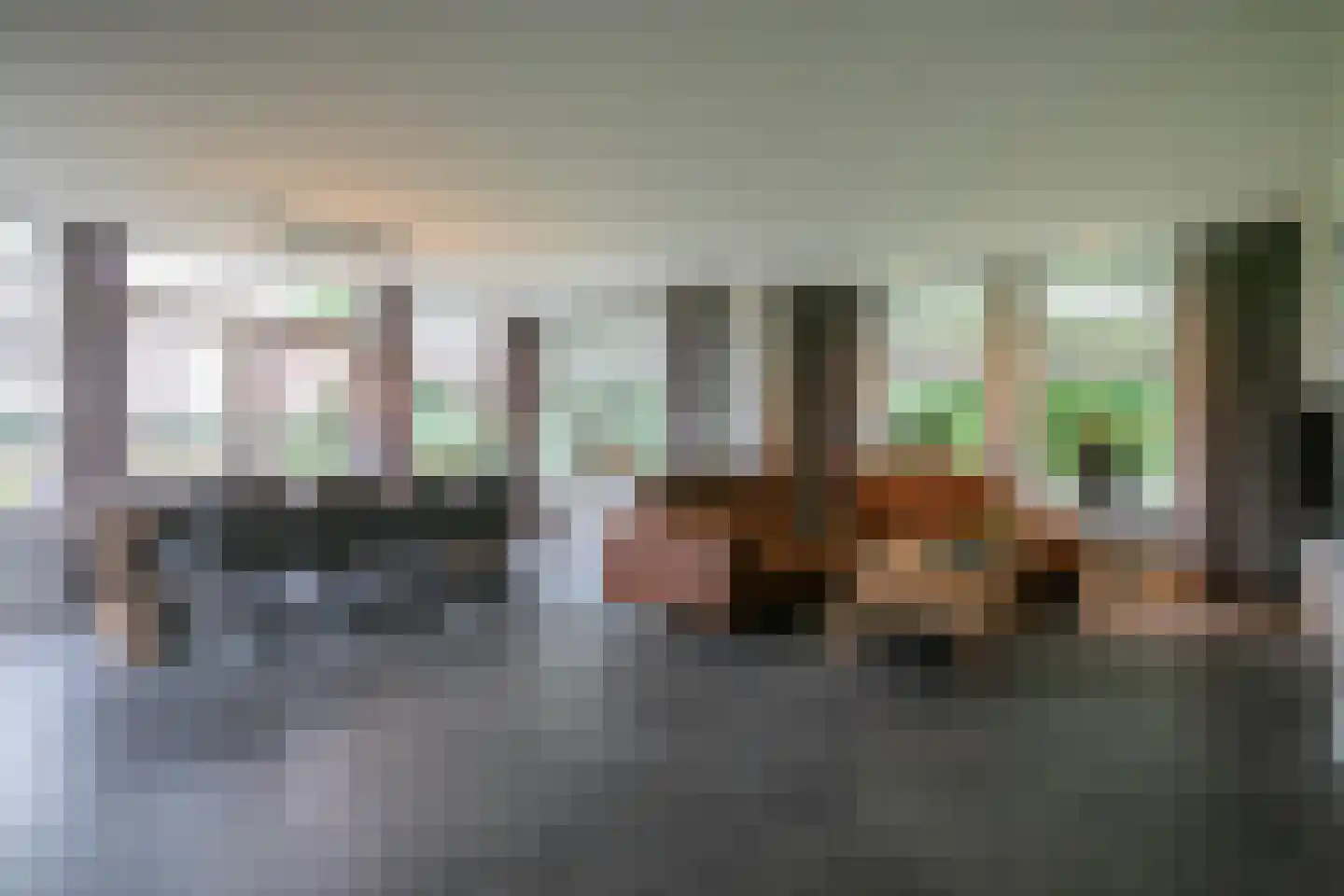 Middelaar 3 Terschuur thumbnail 8