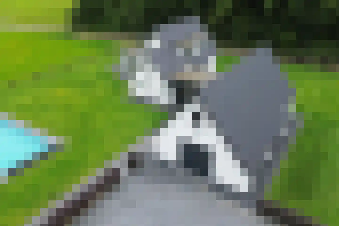 Middelaar 3 Terschuur thumbnail 93