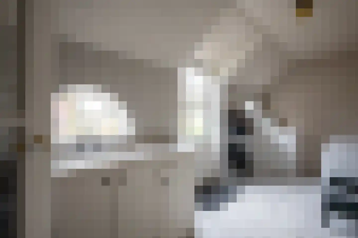 Middelaarseweg 8 Hoevelaken thumbnail 15