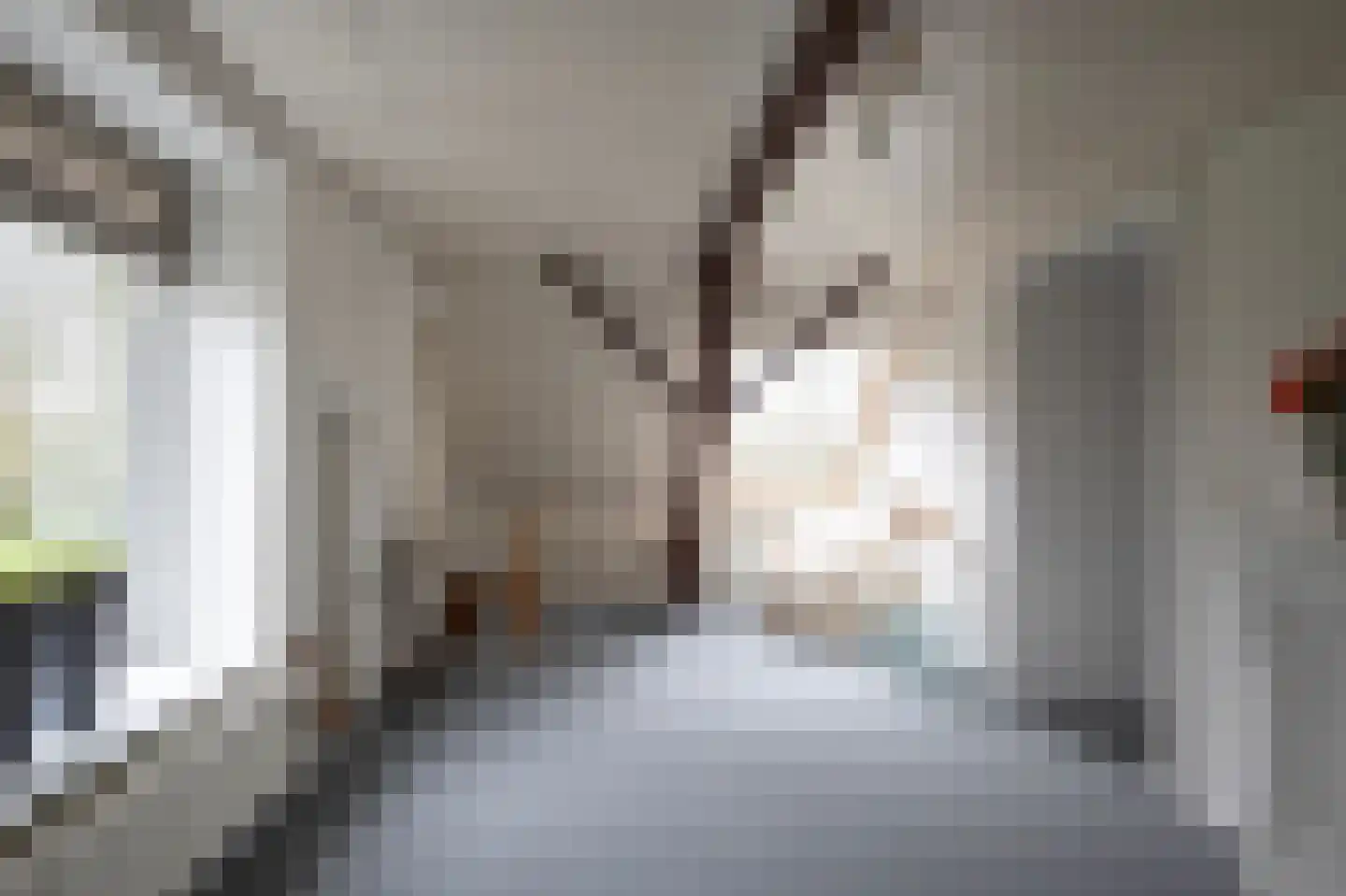 Middelaarseweg 8 Hoevelaken thumbnail 23