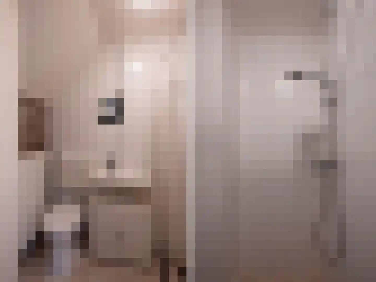 Middelaarseweg 8 Hoevelaken thumbnail 35