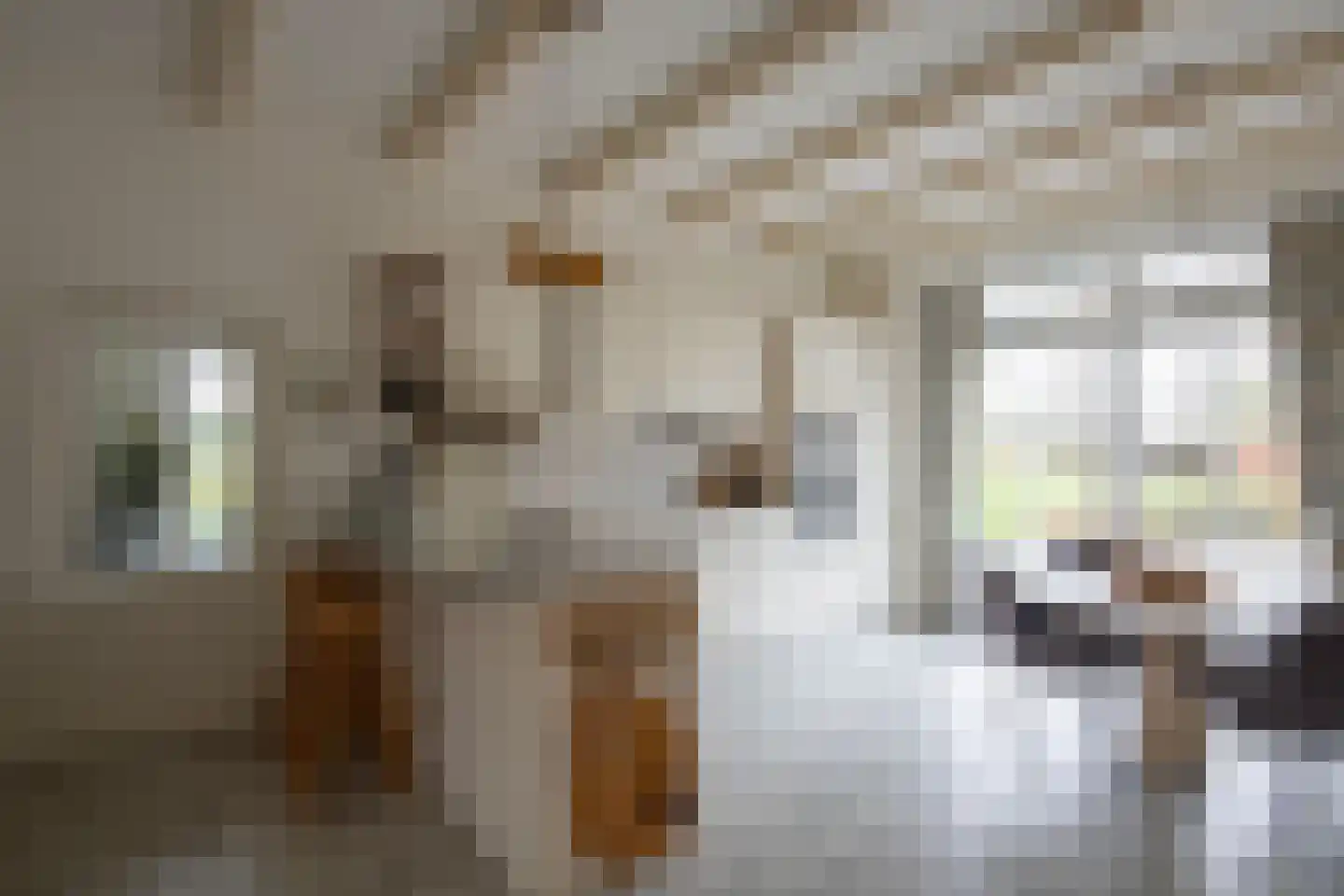 Middelaarseweg 8 Hoevelaken thumbnail 9