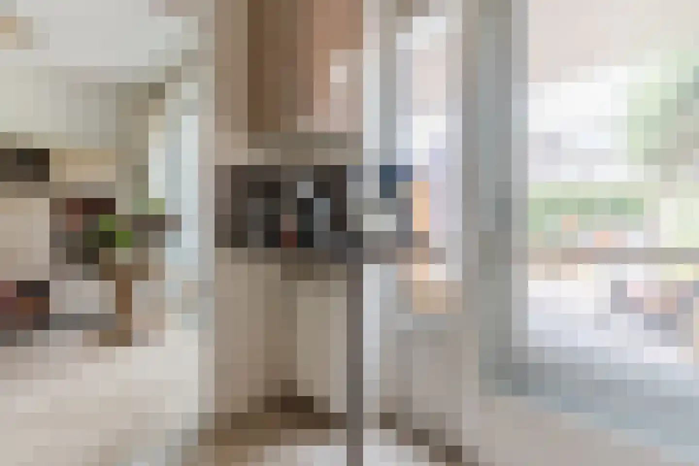Middelberg 33 Veldhoven thumbnail 14