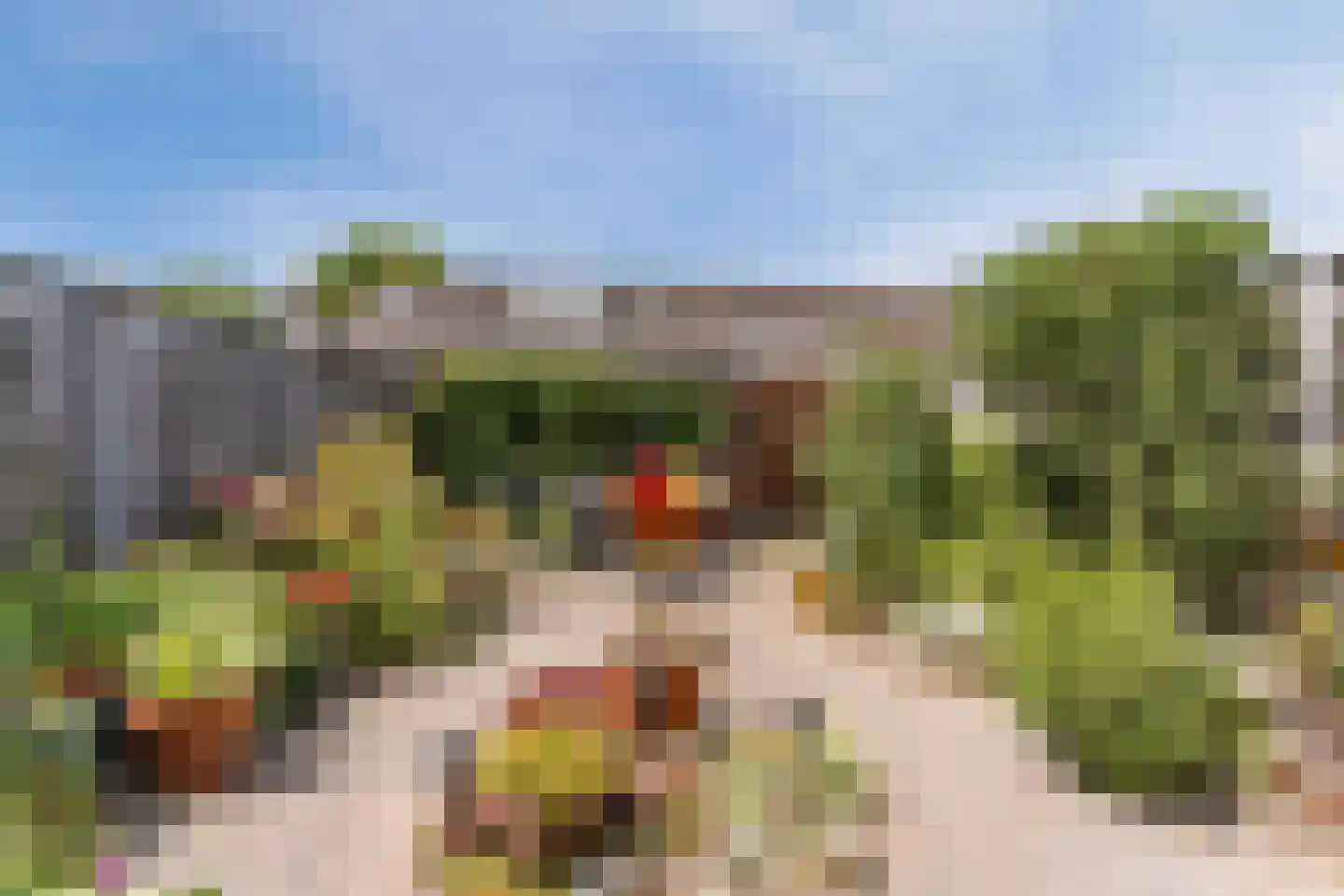 Middelberg 33 Veldhoven thumbnail 28