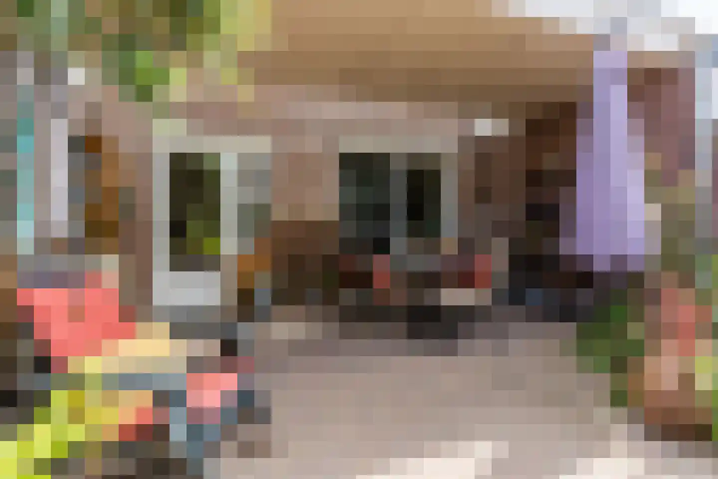 Middelberg 33 Veldhoven thumbnail 31