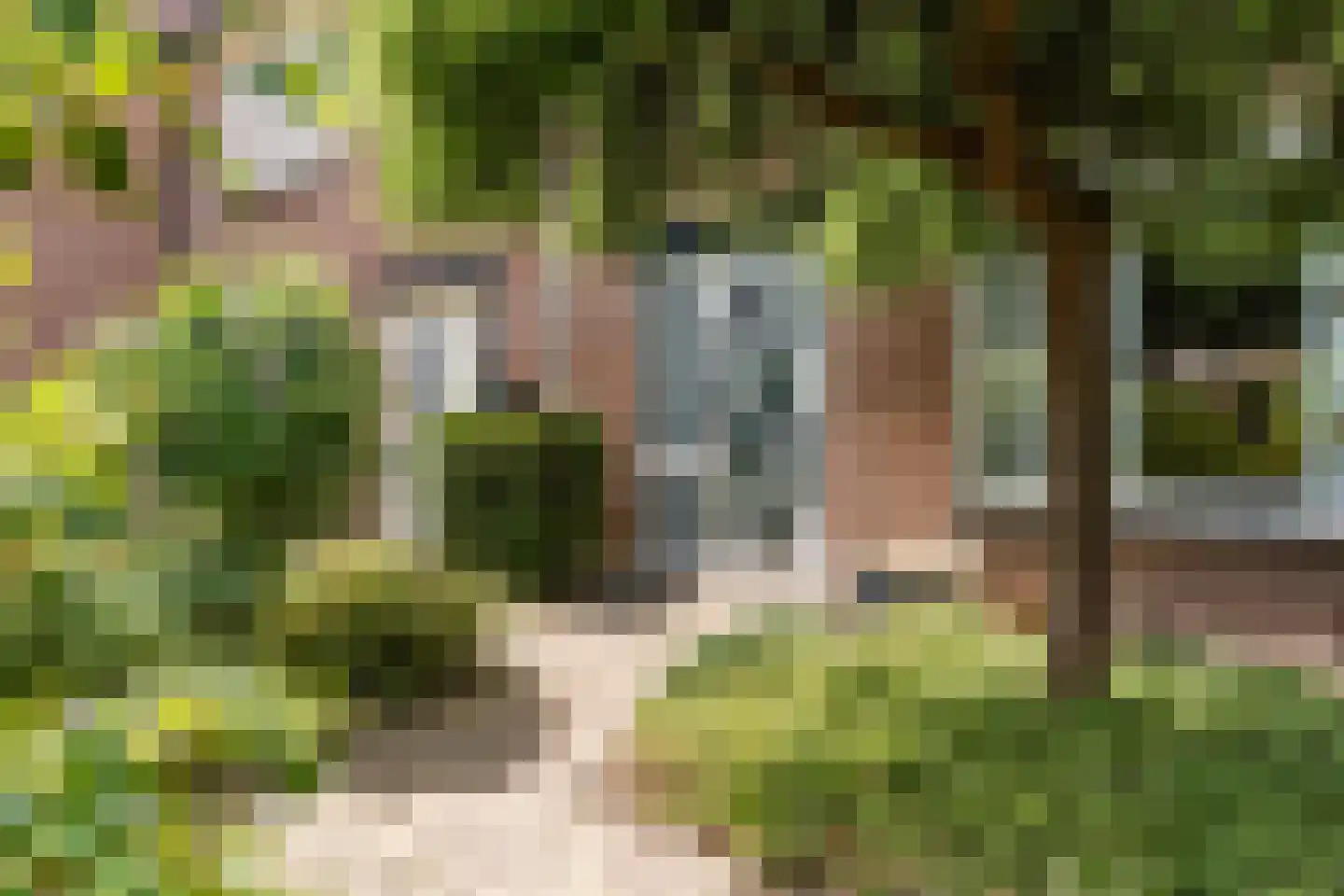 Middelberg 33 Veldhoven thumbnail 6