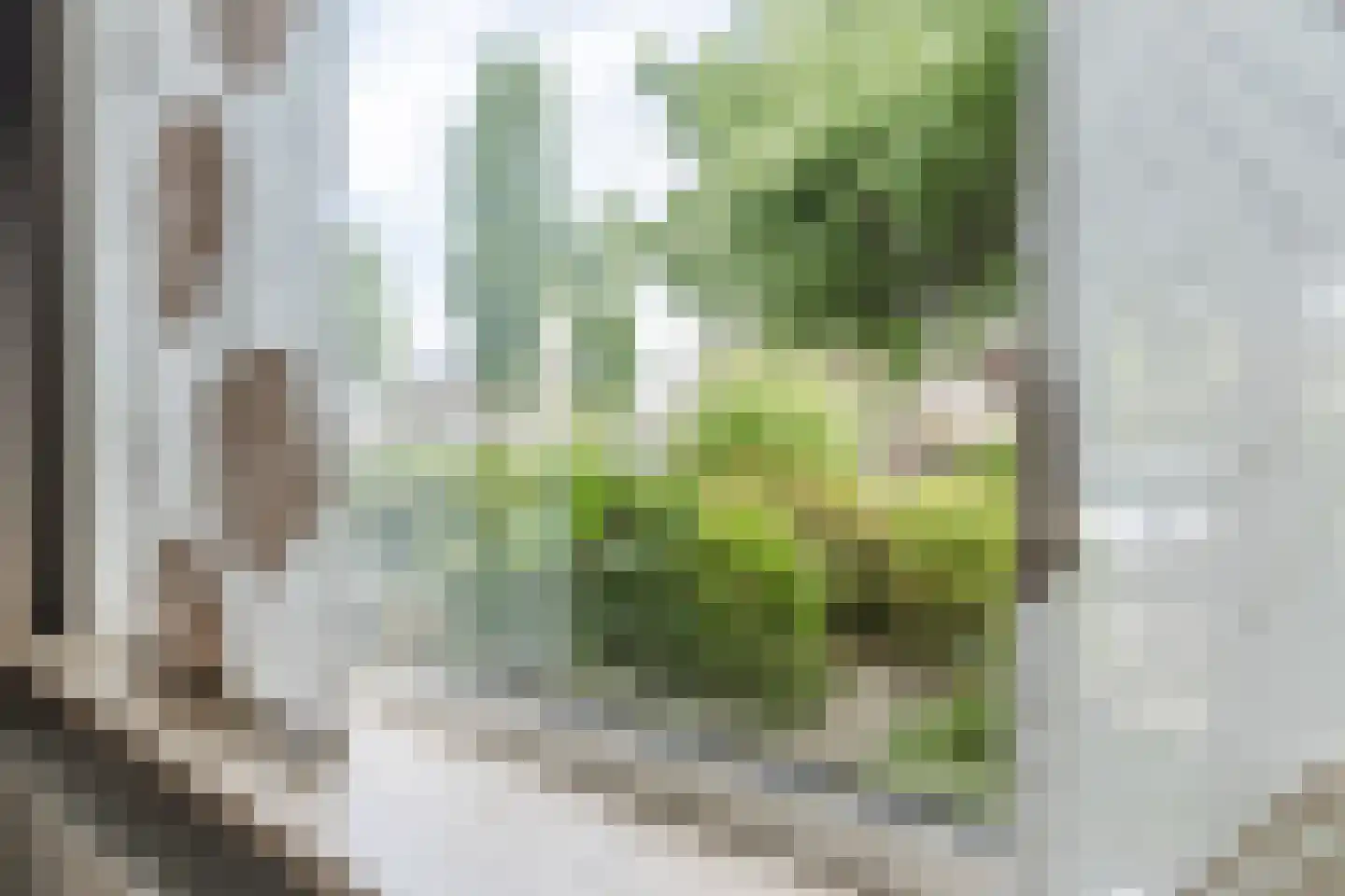 Middelberg 33 Veldhoven thumbnail 9