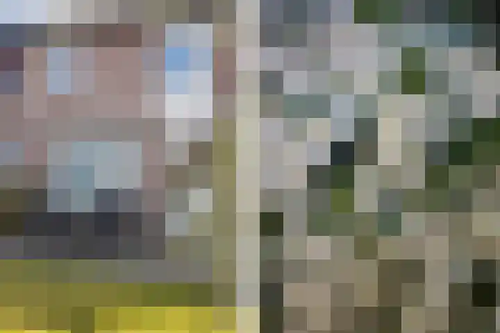 Middelberg 39 Veldhoven thumbnail 20