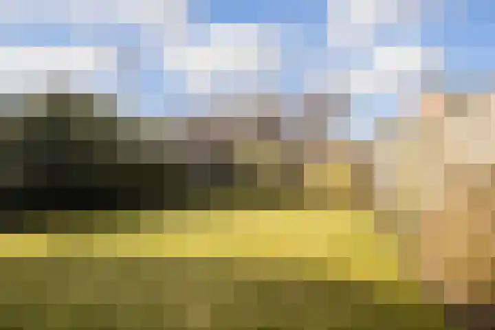 Middelberg 39 Veldhoven thumbnail 21