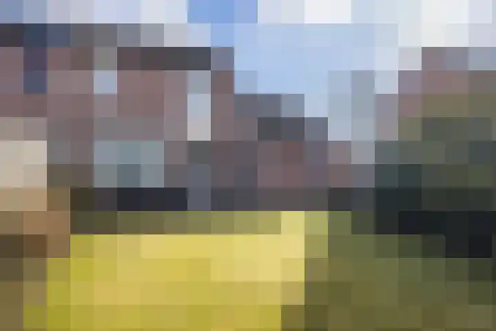 Middelberg 39 Veldhoven thumbnail 4
