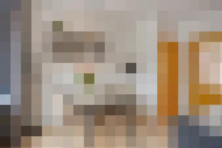 Middelberg 72 Veldhoven thumbnail 13