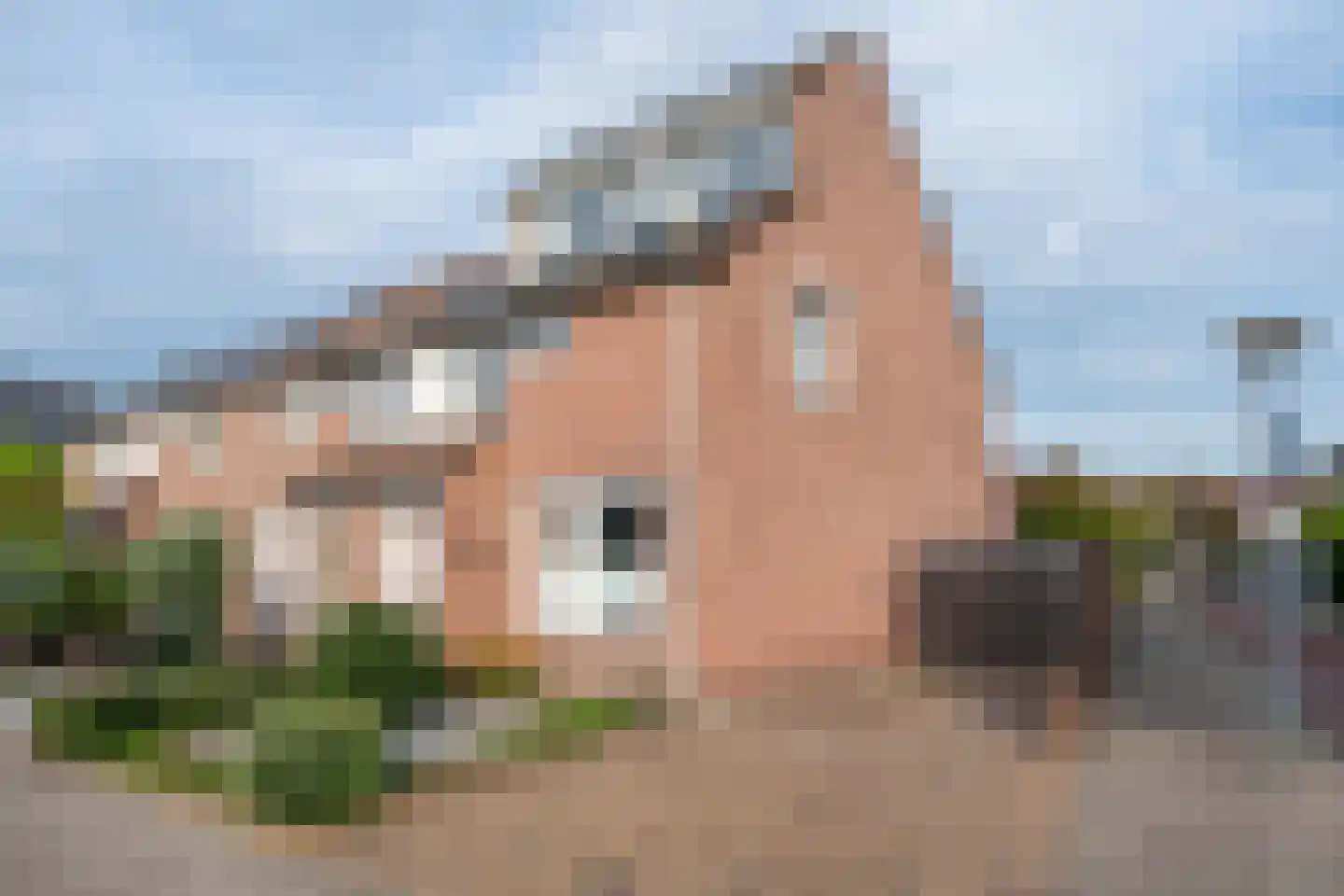 Middelberg 87 Veldhoven thumbnail 37