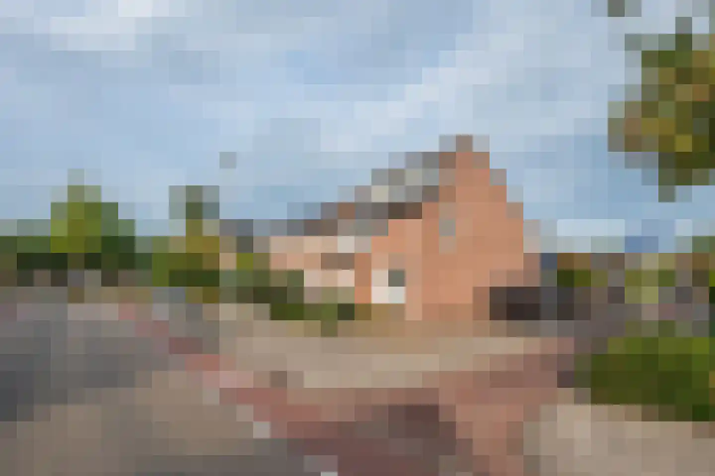 Middelberg 87 Veldhoven thumbnail 39