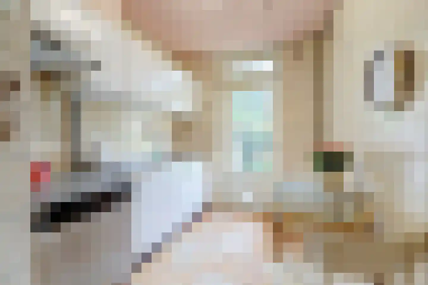 Middelberglaan 2 Ede thumbnail 18