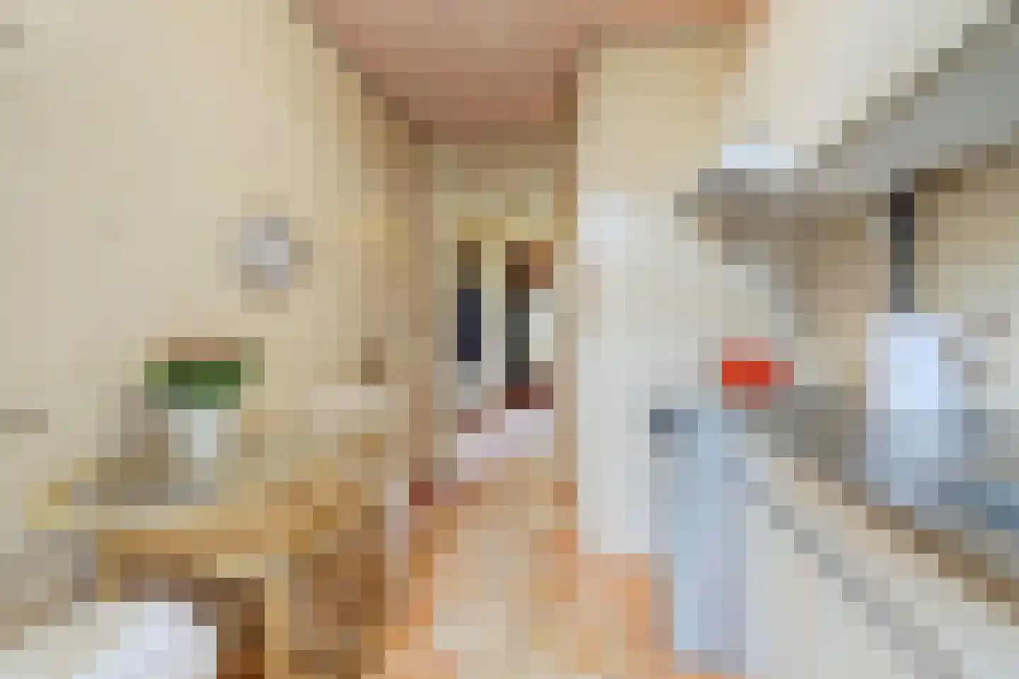 Middelberglaan 2 Ede thumbnail 19