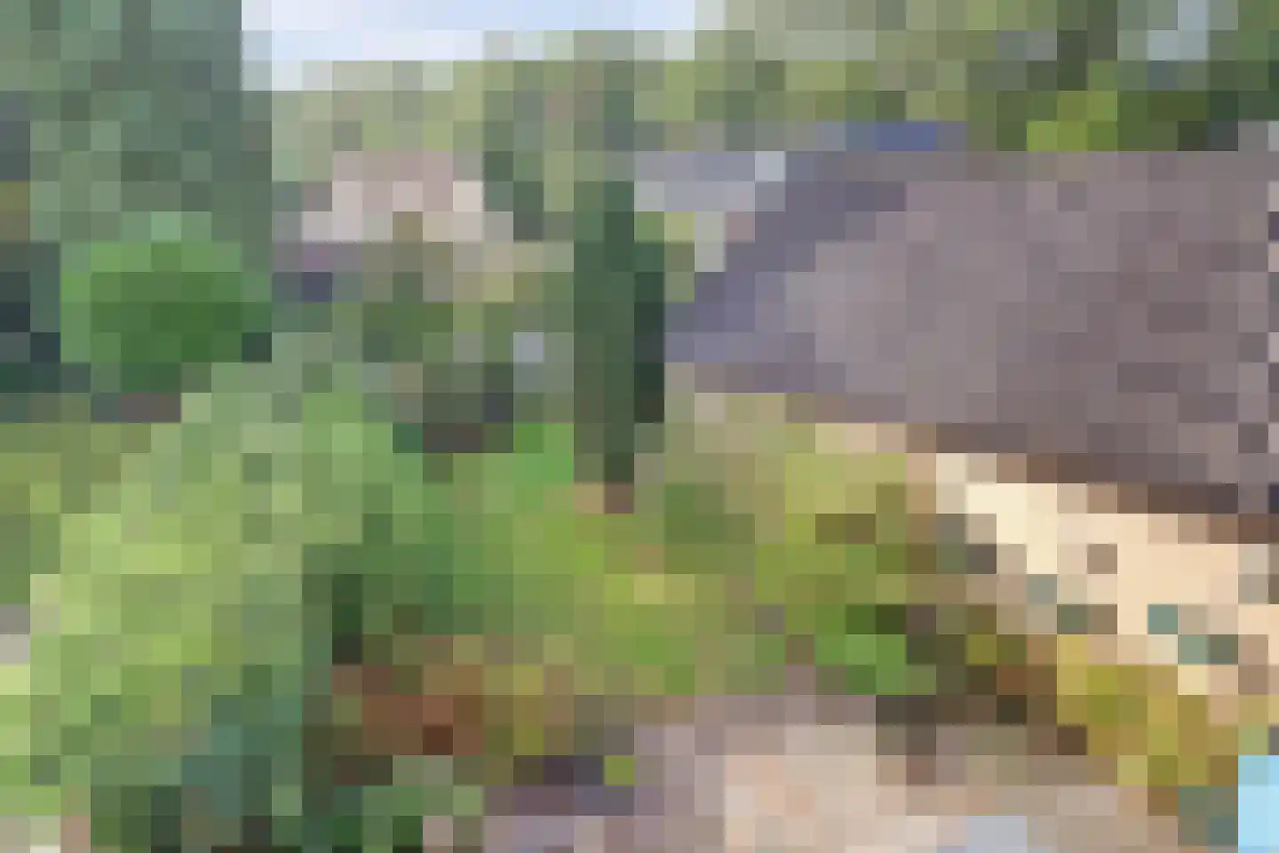 Middelberglaan 2 Ede thumbnail 5