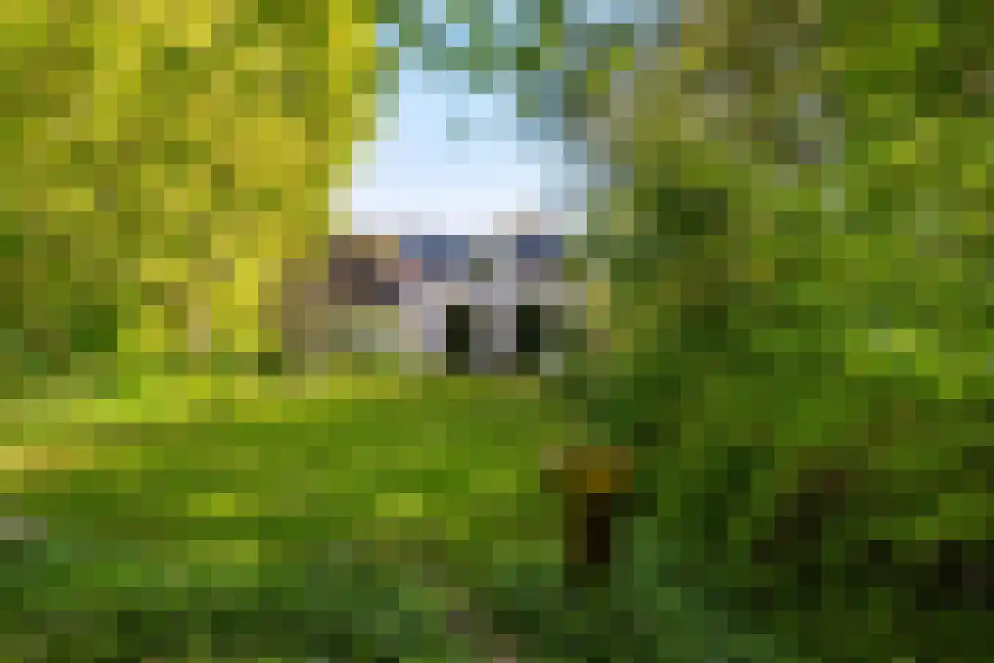 Middelberterweg 30 Groningen thumbnail 10