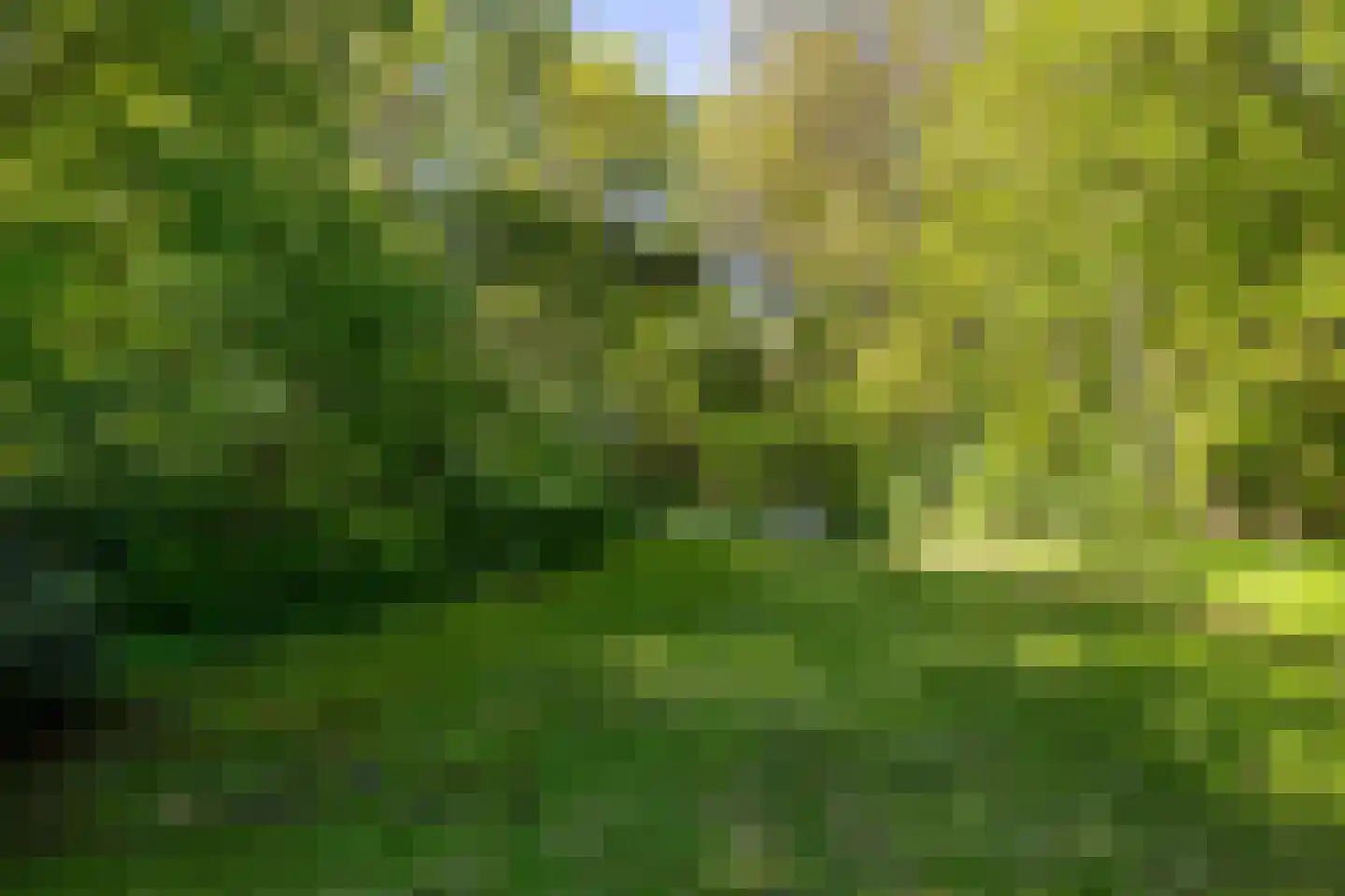 Middelberterweg 30 Groningen thumbnail 13