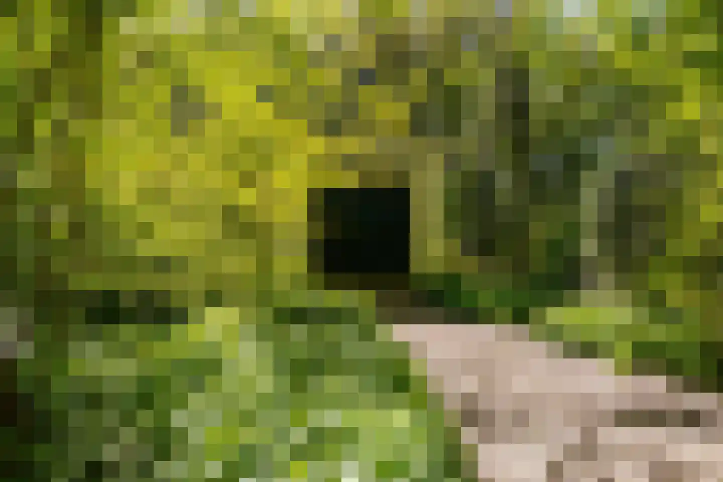 Middelberterweg 30 Groningen thumbnail 15
