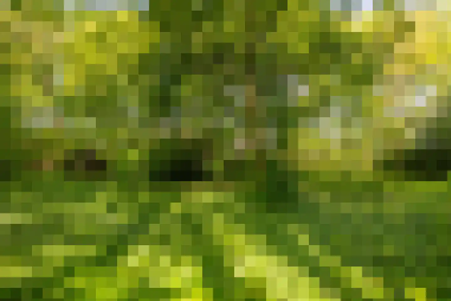 Middelberterweg 30 Groningen thumbnail 16