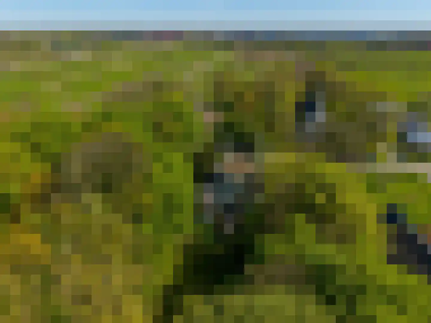 Middelberterweg 30 Groningen thumbnail 18