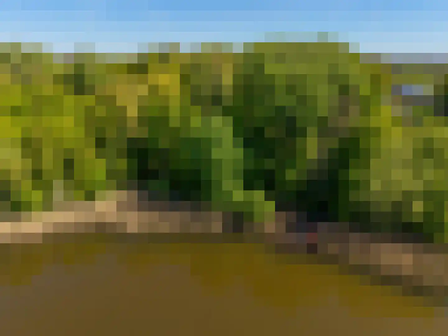 Middelberterweg 30 Groningen thumbnail 19