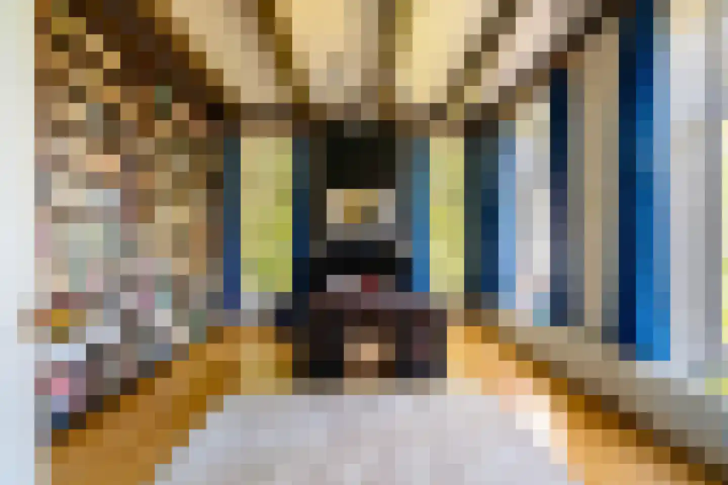 Middelberterweg 30 Groningen thumbnail 24