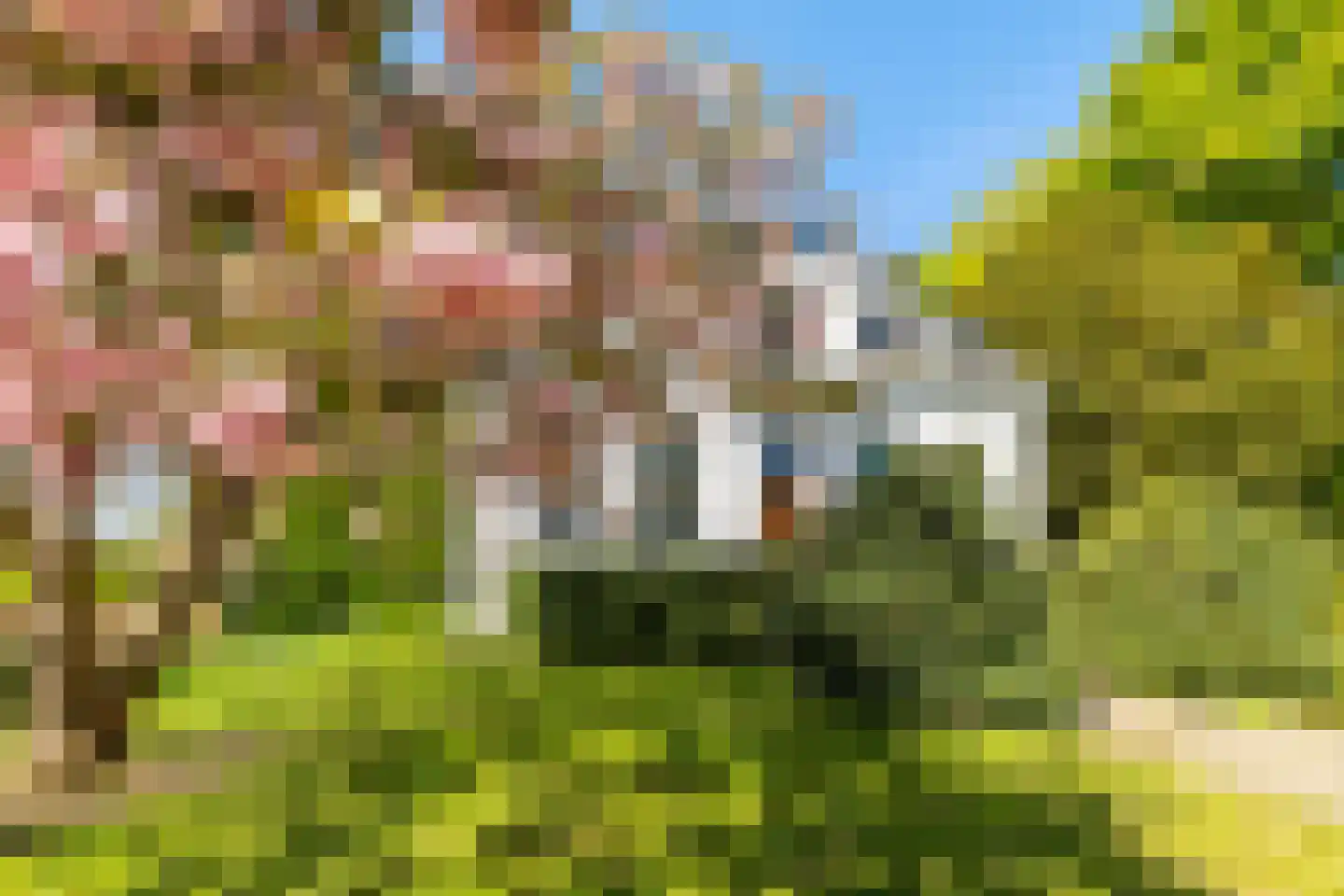 Middelberterweg 30 Groningen thumbnail 4