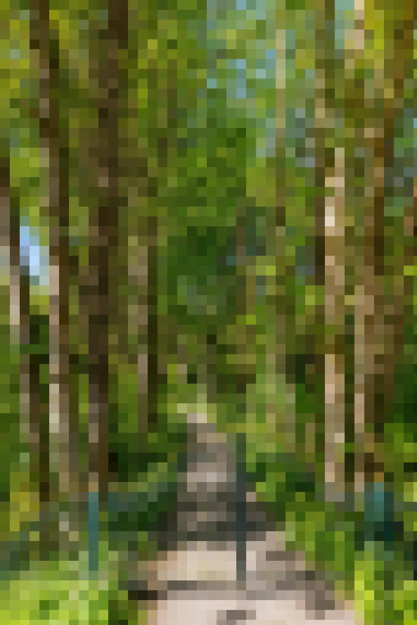Middelberterweg 30 Groningen thumbnail 9