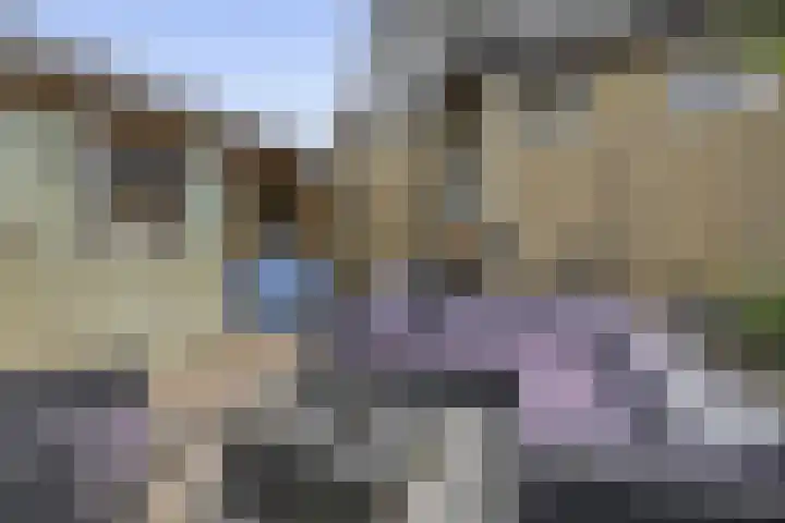Middelblok 16 Gouderak thumbnail 19